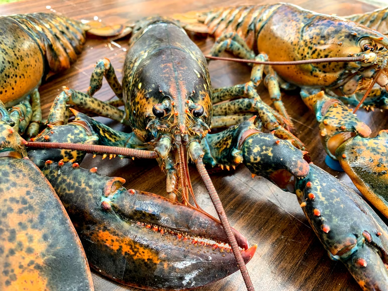 Lobsters sitting on a table.