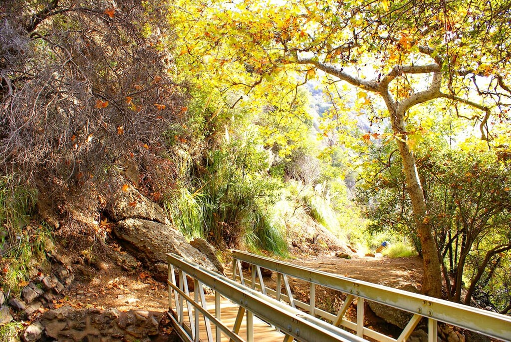 Los Angeles City Guide: Beaches, Hikes, Attractions, Dining & Living