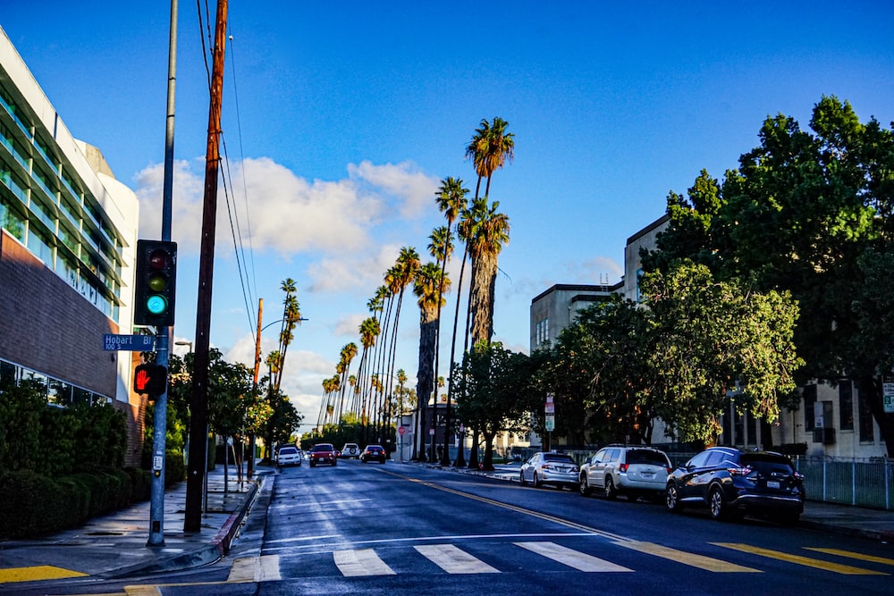 a city street with palm trees and a traffic light