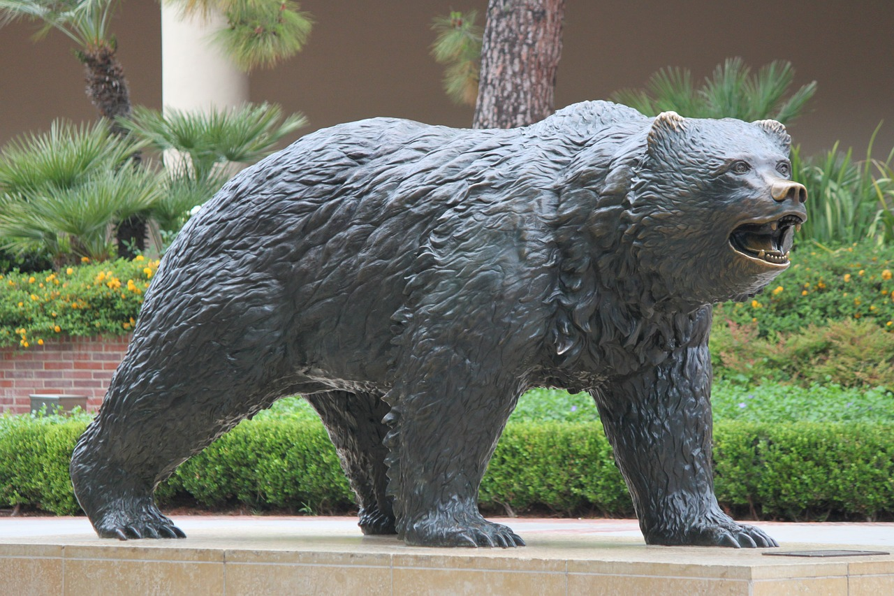 The UCLA Bruins’ bear statue.