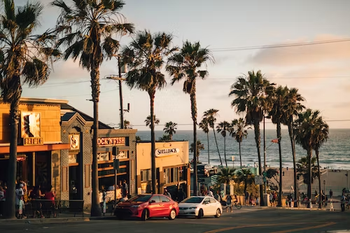 Street view of LA lined with palm trees overlooking the beach.