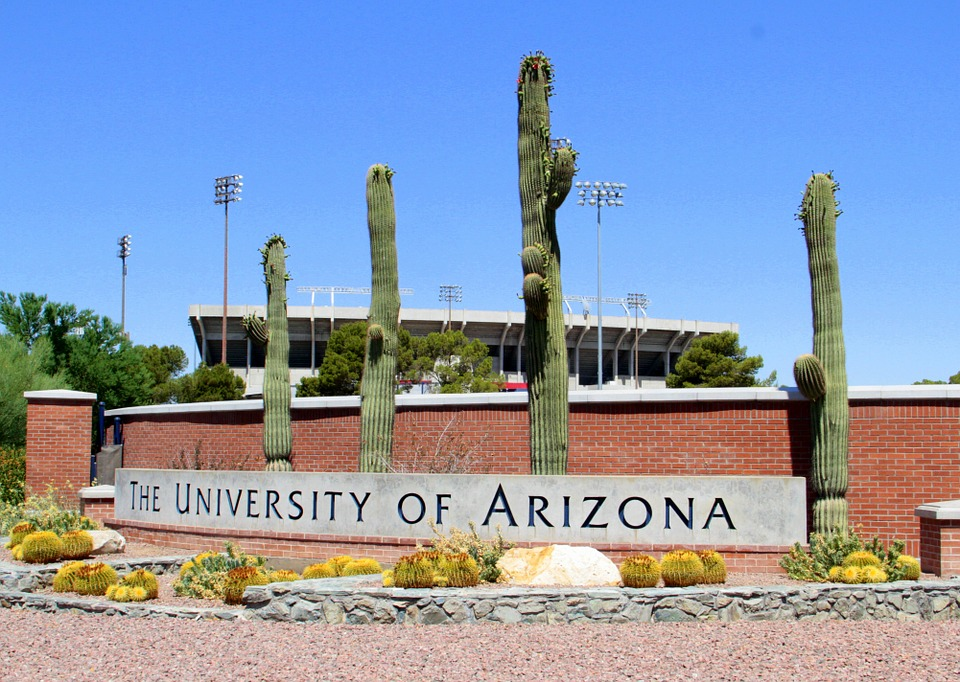 University Of Arizona, Uofa, University, Arizona